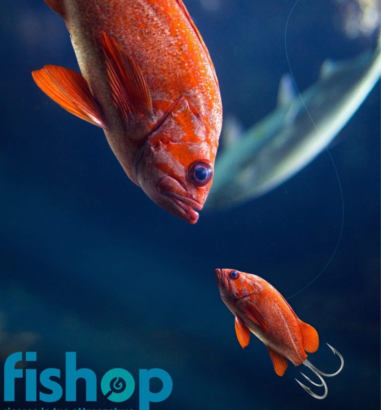 Fish-op